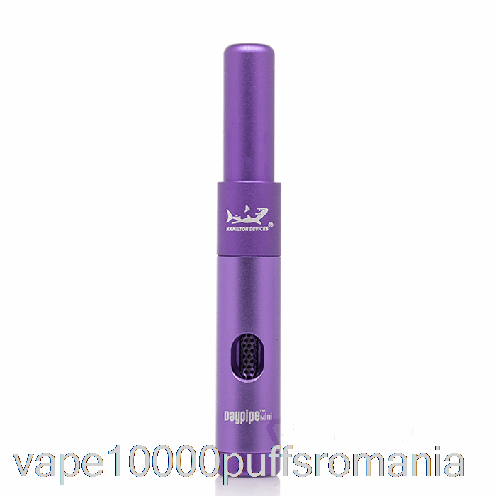 Vape Romania Hamilton Devices Daypipe Mini Purple